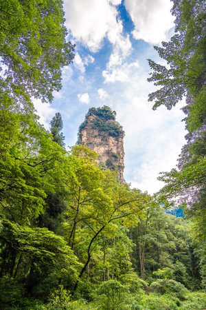 Scenery of Zhangjiajie Scenic area, Hunan Province, Chinaの写真素材