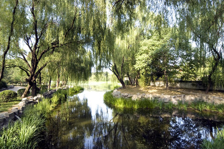 Yuanmingyuan Ruins Park