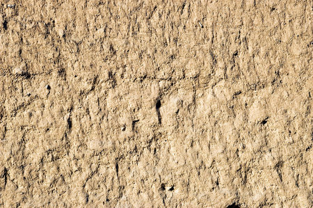cob wall