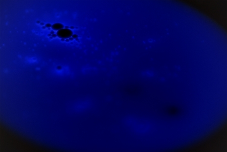 abstract image of fluids in infrared , blueの写真素材