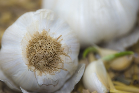 whole garlic in food, seasoning , cooking , traditionalの写真素材