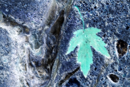 blue abstract background with green leaf , infraredの写真素材