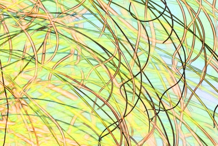 Detail of herbs of different tones on the coast の写真素材