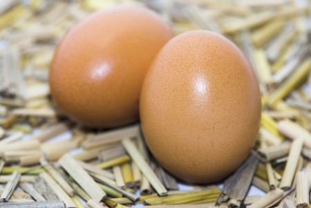 eggs on a bed of straw , natural , fieldの写真素材
