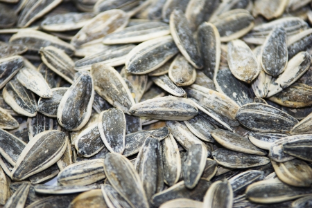 salted sunflower seeds in clay pot on white backgroundの写真素材
