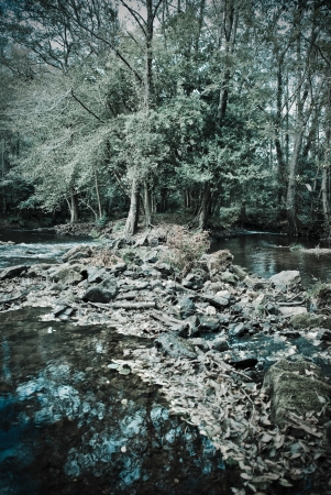 landscape of a river in northern Spainの写真素材