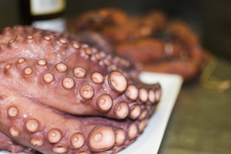 octopus cooked and presented in the table with accessoriesの写真素材