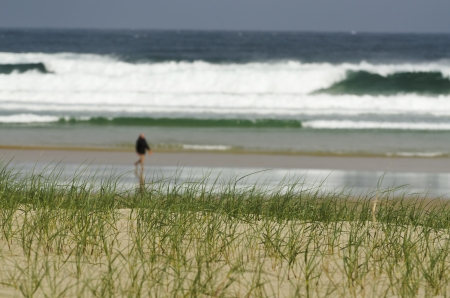 grass on the sandy beach with sea in the backgroundの写真素材