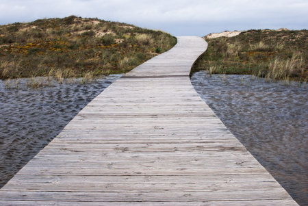beach landscape in a cloudy day from the viewpointの写真素材