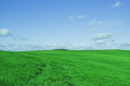 Spring landscape whith green field and blue sky の写真素材