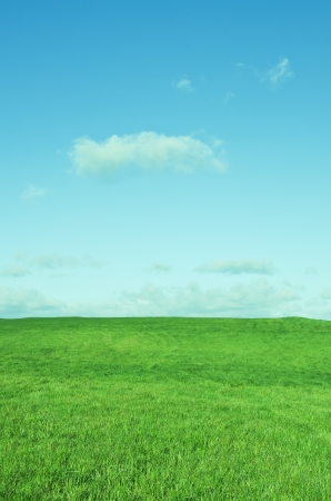 Spring landscape whith green field and blue sky の写真素材