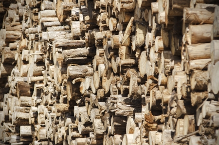 many eucalyptus logs stacked for transport, cross sectionの写真素材