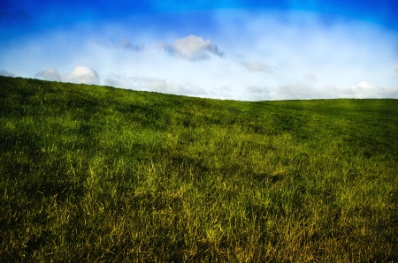 Spring landscape whith green field and blue sky の写真素材