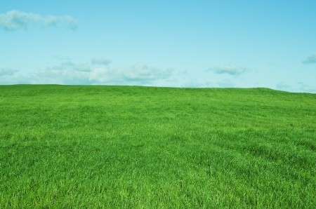 Spring landscape whith green field and blue sky の写真素材