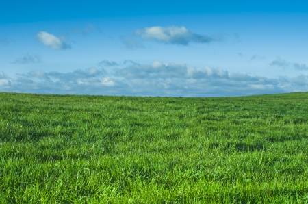 Spring landscape whith green field and blue sky の写真素材
