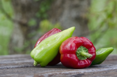 group of vegetables on a table outdoorsの写真素材