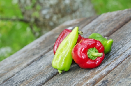 group of vegetables on a table outdoorsの写真素材