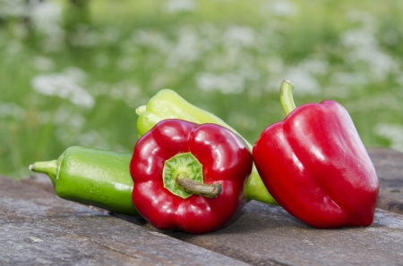 group of vegetables on a table outdoorsの写真素材