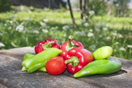 group of vegetables on a table outdoorsの写真素材