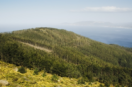 coastal landscape in northern Spain with blue skyの写真素材