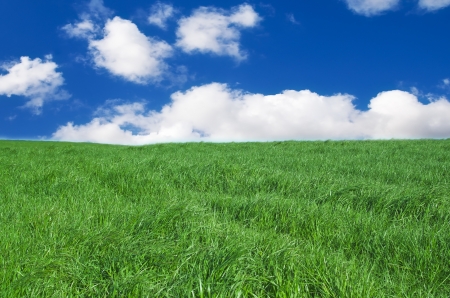 Spring landscape whith green field and blue skyの写真素材