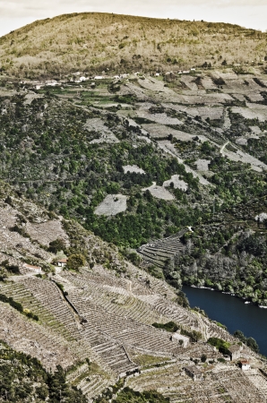 The Sil river canyon in Galicia , Spainの写真素材