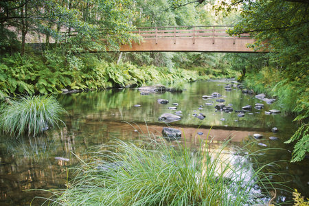wooden footbridge over the river in Galiciaの写真素材