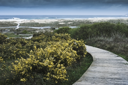 wooden walkway to the sea on the coast of Galiciaの写真素材