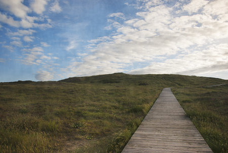 wooden road in the grass and blue sky