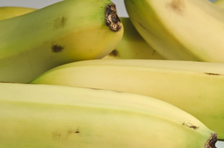 A bunch of organic and yellow bananasの写真素材