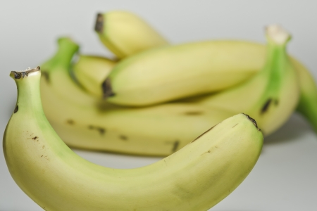 A bunch of organic and yellow bananasの写真素材