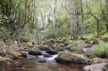 landscape of a river in northern Spainの写真素材