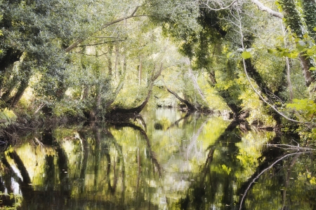 landscape of a river in northern Spainの写真素材