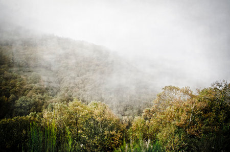 Mountain landscape on a cloudy day  O Caurel  Galicia の写真素材