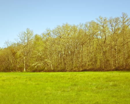 landscape whith green field and blue sky - yellow toneの写真素材