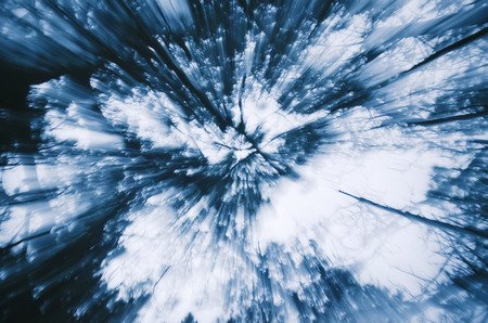 Abstract zoom of tree branches    leaves の写真素材