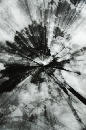 Abstract zoom of tree branches &  leaves.の写真素材