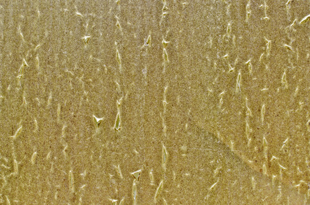 urban textures of different ways . Plastic sheeting on the glass.の写真素材