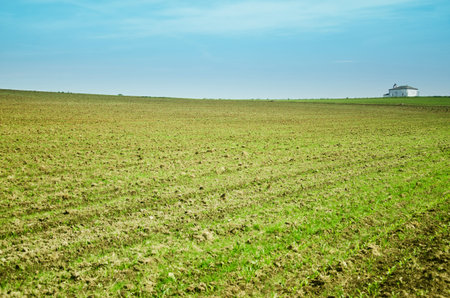 furrowed and planted field in spain country side.の写真素材