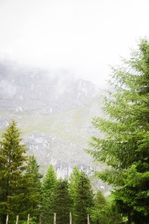 Picos de Europa mountains' range in northern Spain.の写真素材