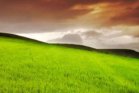 spring landscape with a cloudy skyの写真素材