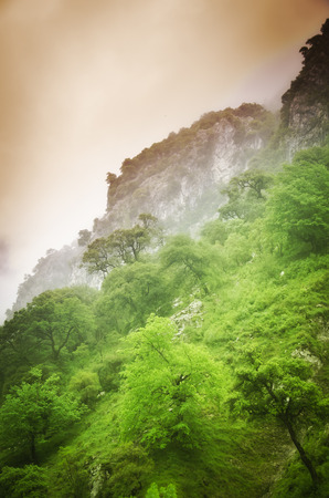 Picos de Europa mountains' range in northern Spain.の写真素材