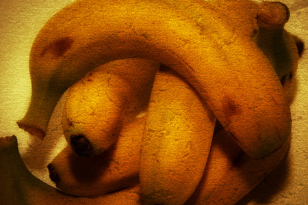 Bunches of ripe bananasの写真素材