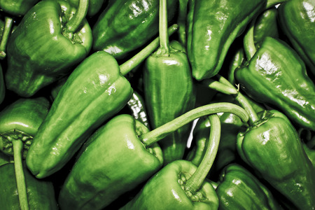 green peppers in a market in padron (spain)の写真素材