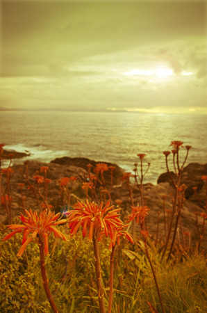 Sunset on the Cantabrian coast of Spainの写真素材