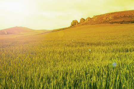 spring landscape with a cloudy skyの写真素材