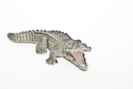 Image of a toy crocodile, side view.の写真素材