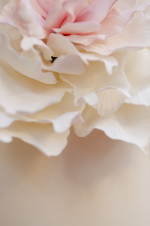 A white wedding cake with pink rose petals.の写真素材