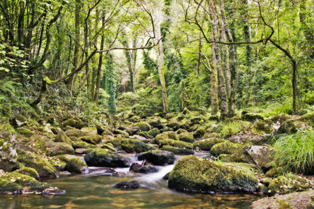 landscape of a river in northern Spainの写真素材