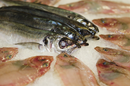 fresh fish at the marketの写真素材